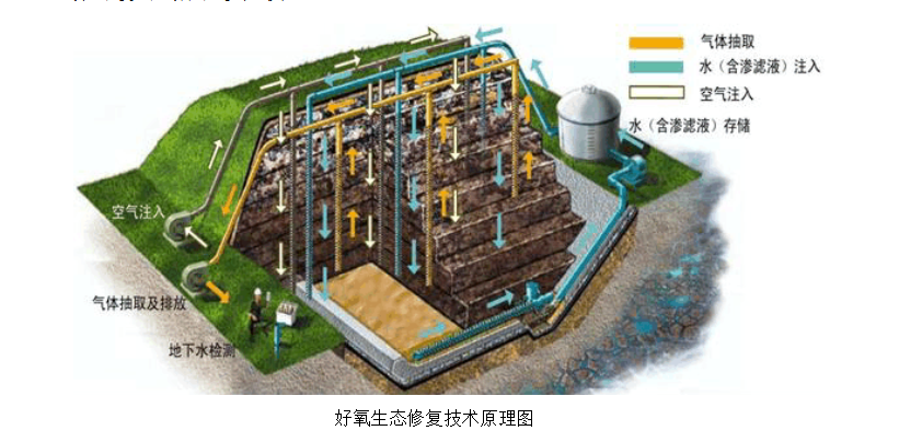 好氧生態修復技術原理圖.png